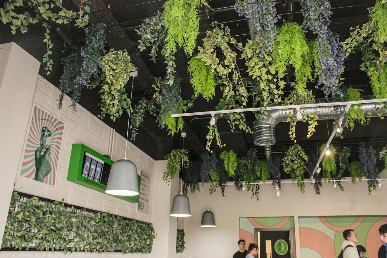 Restaurant interior with planted ceiling, pendant lights and timber counter