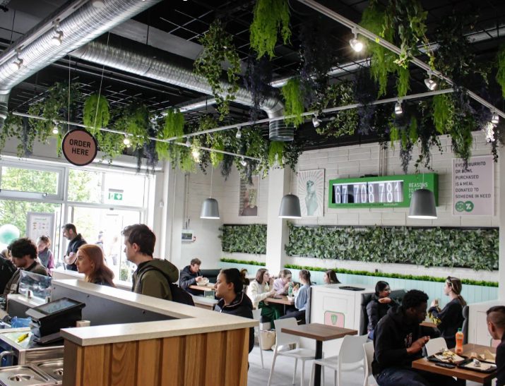 Restaurant interior with timber counter, seating and a planted ceiling